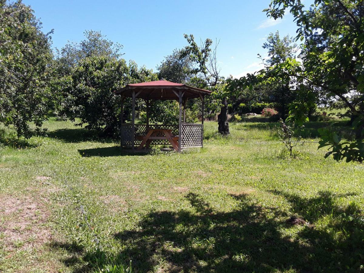 Gitenchassagne Bed & Breakfast Thurins Luaran gambar