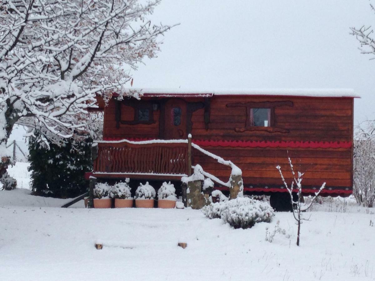 Gitenchassagne Bed & Breakfast Thurins Luaran gambar